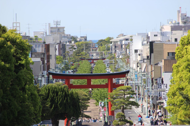 若宮大路